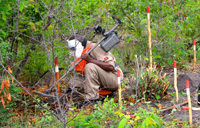 Kuando Kubango Mine Clearance