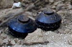 Abolished Anti-Personnel mine Abolished Anti-Personnel mine